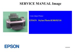 Manual de servicio de la EPSON R300/R310