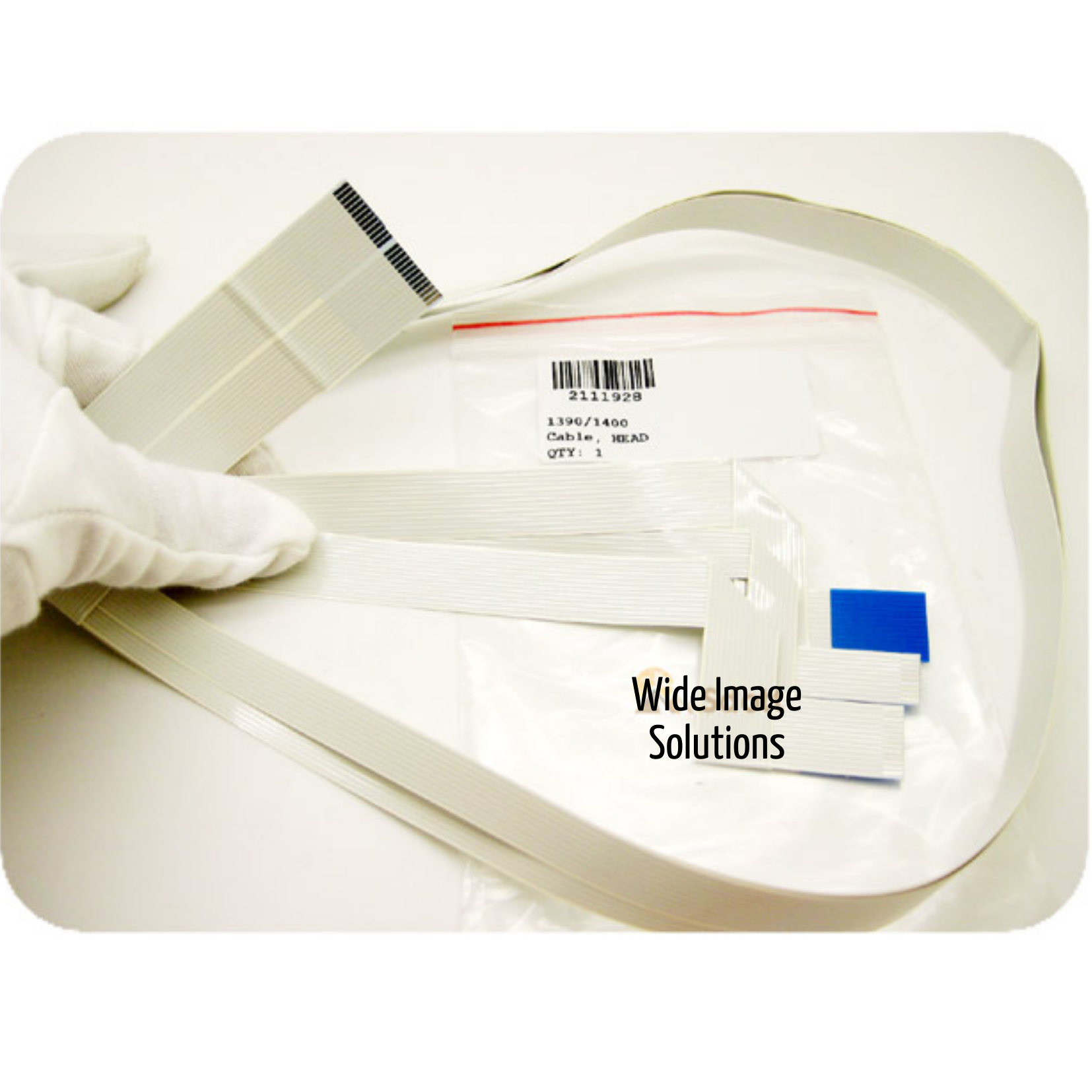 Cable, cabezal y CSIC EPSON 1390/1400 - 2111928 y 2111930