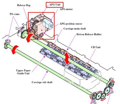 EPSON SureLab D700 D800 D850 D870 CONJUNTO DE UNIDAD APG - 1619747