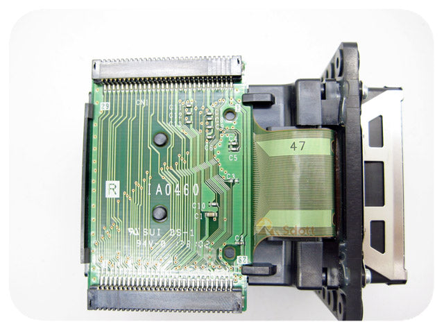 Cabezal de impresión EPSON Pro GS6000 - F188000 