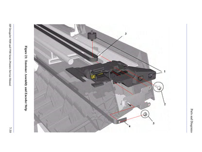 Correa de transporte para impresoras HP DesignJet 5000/5500 - Modelo de 42&quot; (C6090-60072)